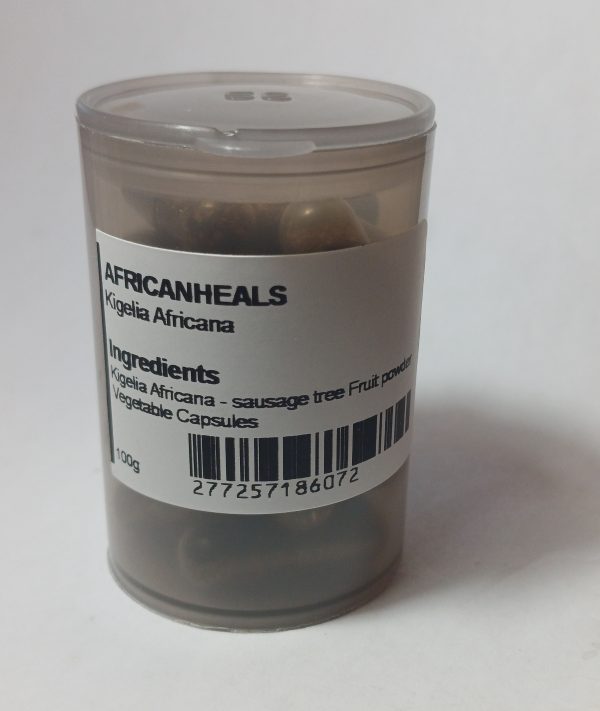 kigelia-africana-fruit-powder